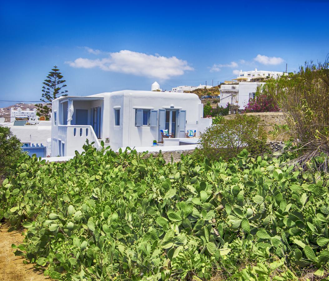 Sole Mare Villa Mykonos Town Exteriér fotografie